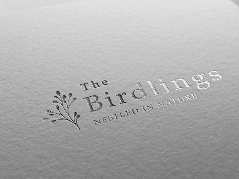 Identity Creative Project Birdlings