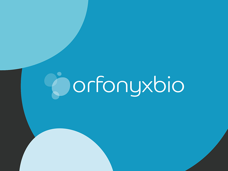 Identity Creative Project Orfonyx