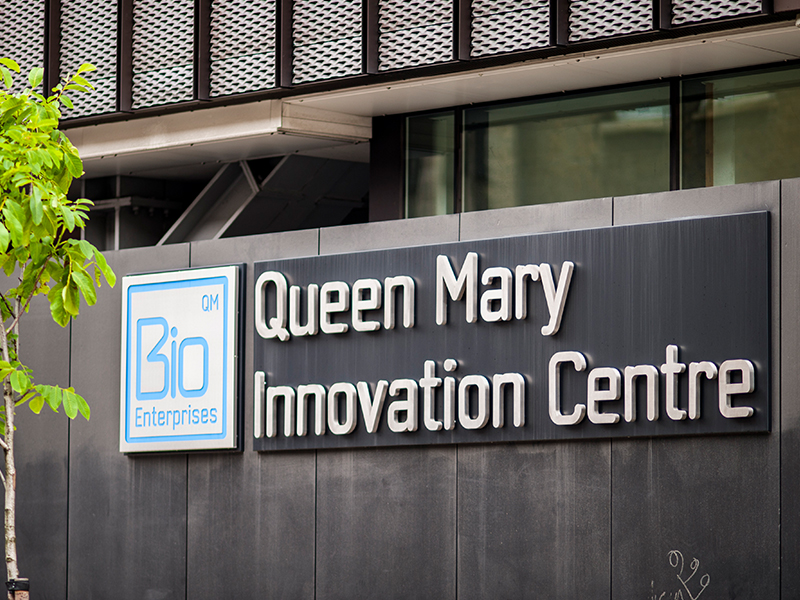 Identity Creative Project QMB