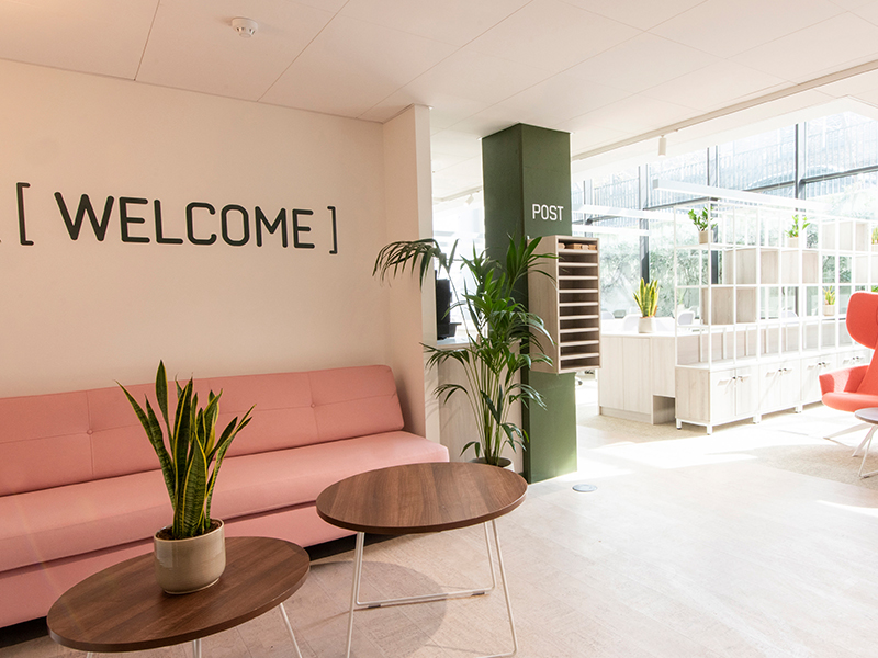 Identity Creative Project QME