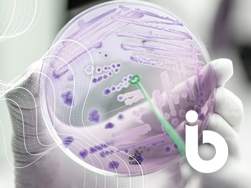 Identity Creative Blog NBIC