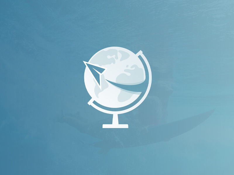 Identity Creative Blog TTM