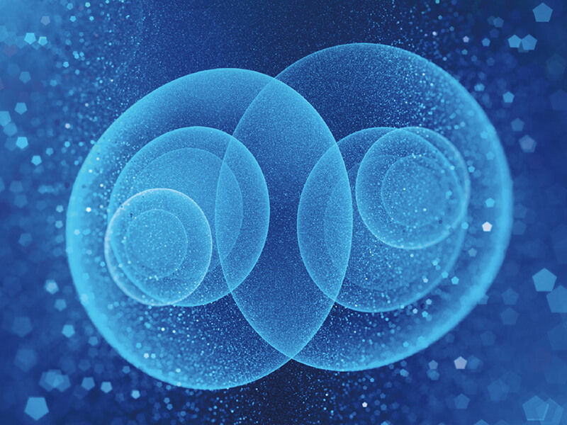 Identity Creative Project Axol