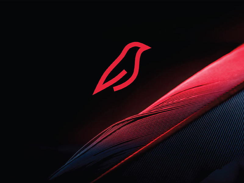 Identity Creative Project Firefinch