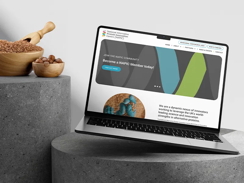 Identity Creative Project NAPIC