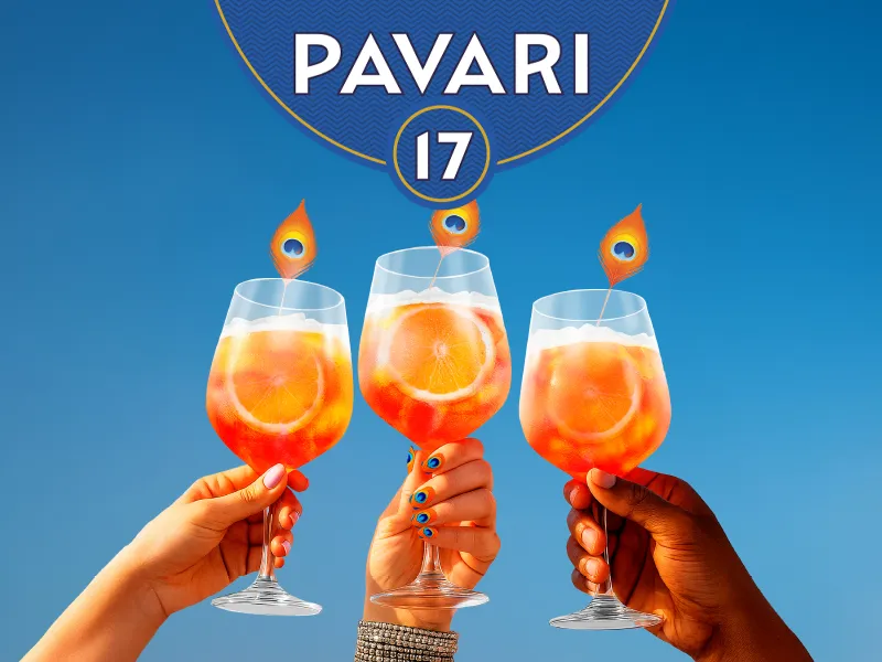 Identity Creative Project Pavari17