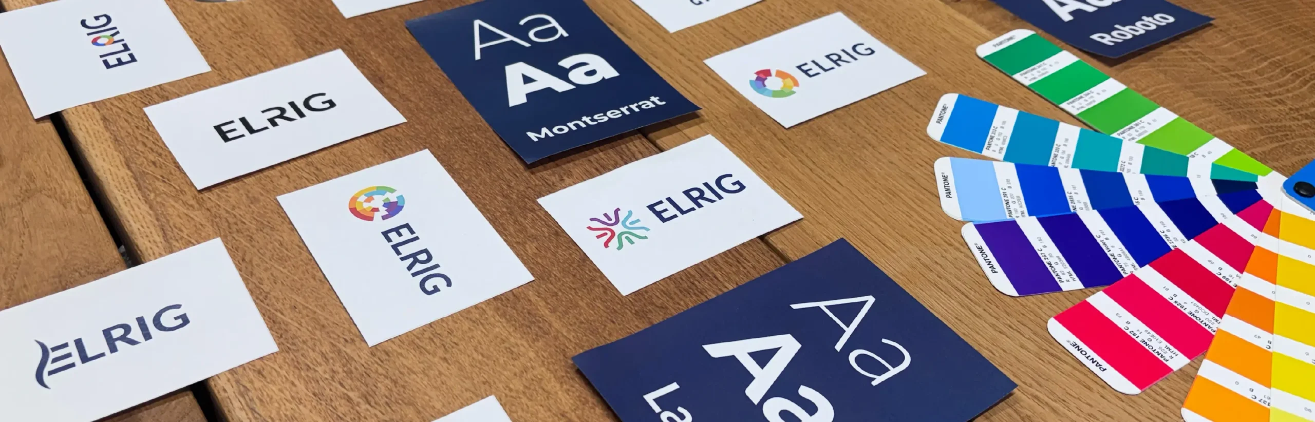 Branding concept options for ELRIG, The Drug Discovery Community with range of icon, font and colour ideas for refinement, brand exploration