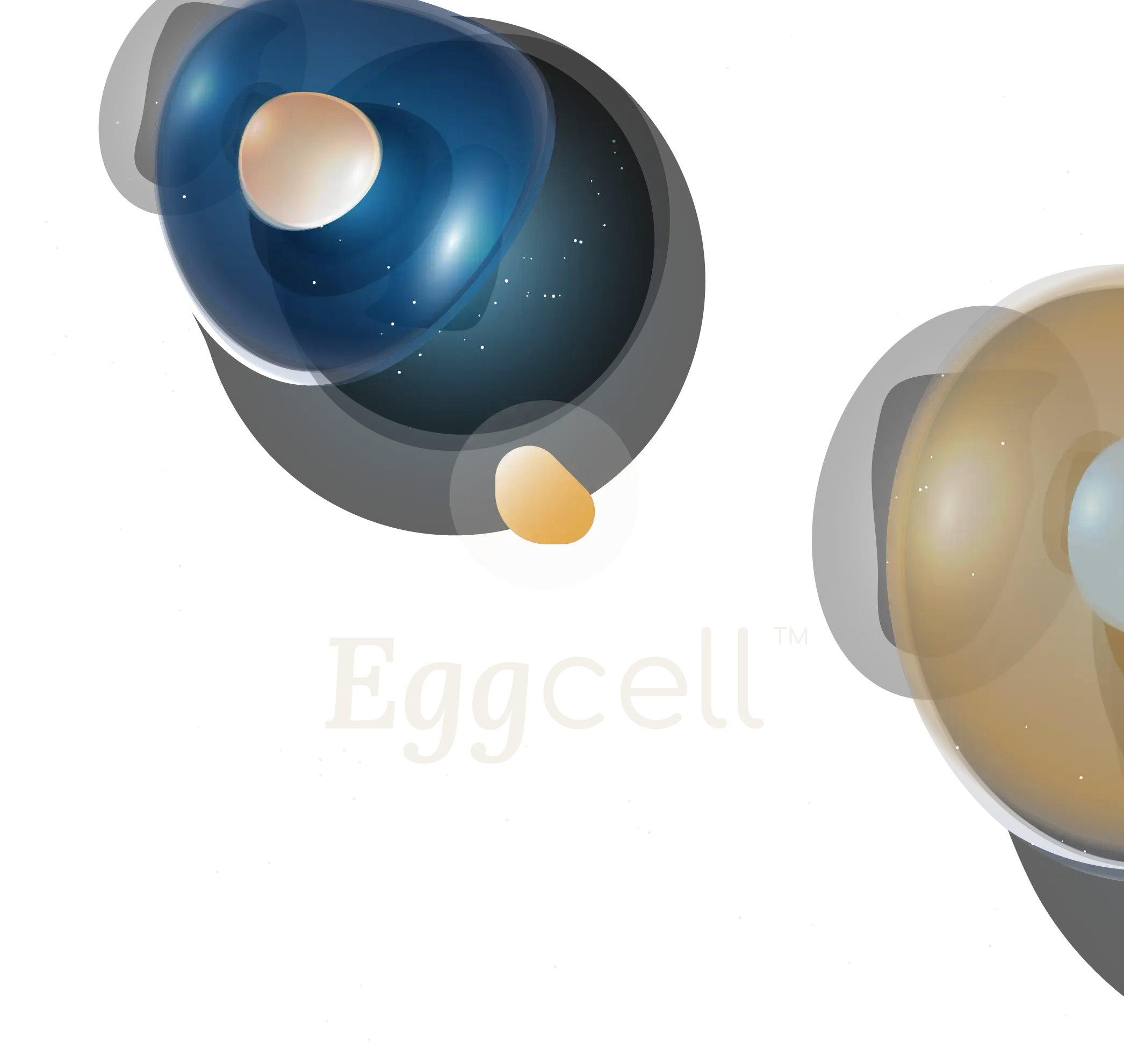 Eggcell logo, how to build a life science start-up creation