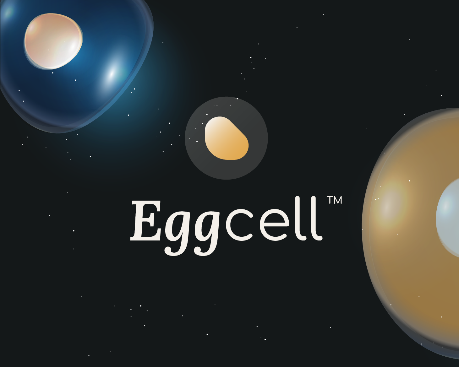 Fictional brand Eggcell how to build a life science start-up