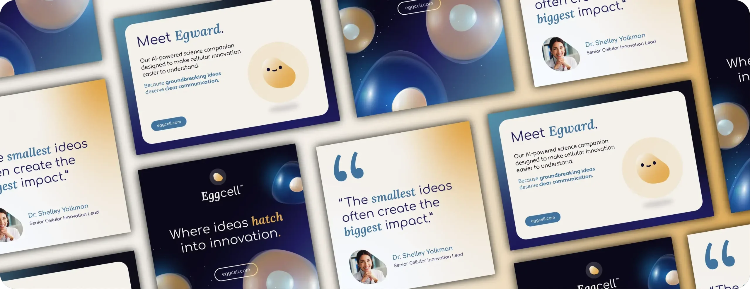 Social media templates for Eggcell start-up concept for life science essential marketing materials for launch
