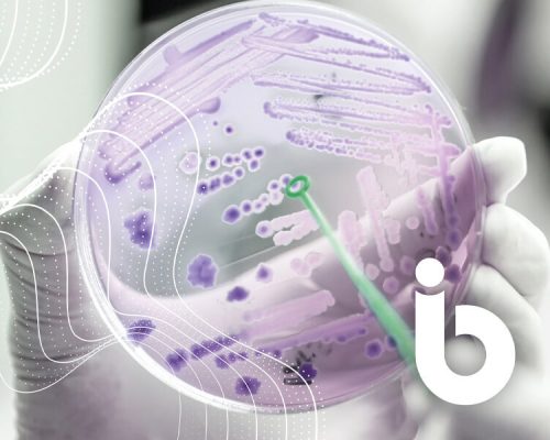 Identity Creative Blog NBIC