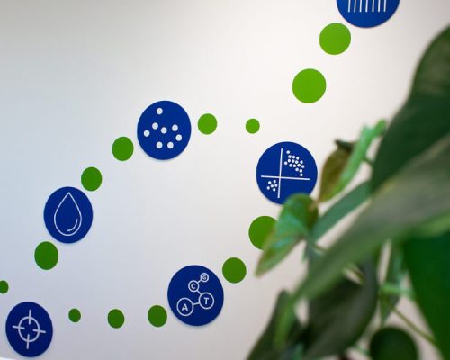 IC-Web-blog-Neo-Gemonics Identity Creative Blog Neo Gemonics